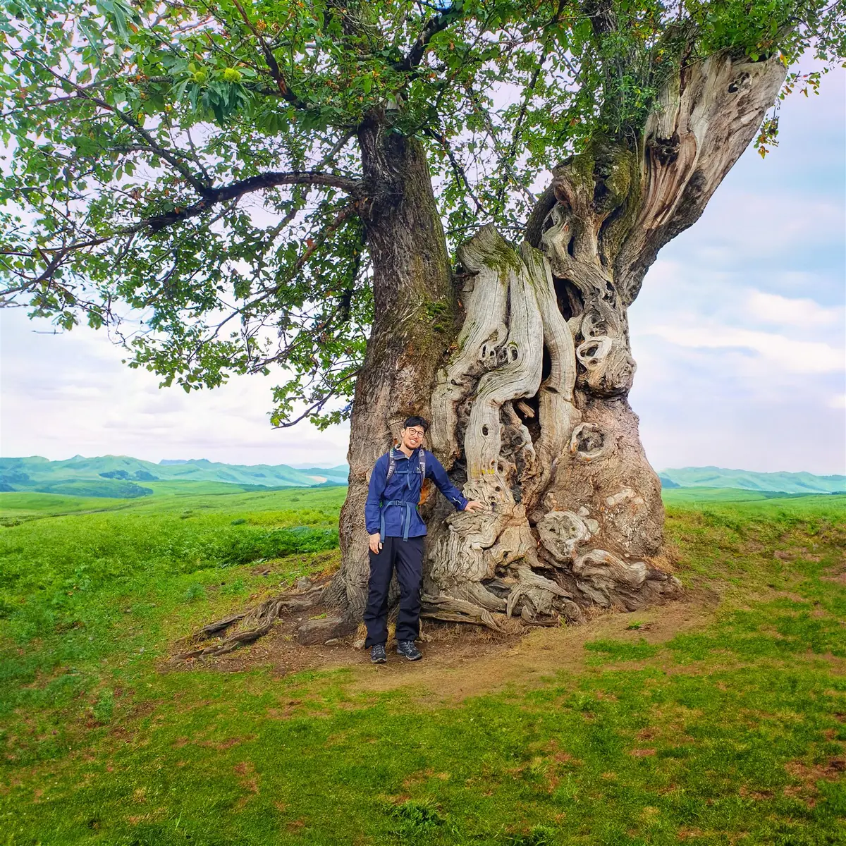 Felix Mao beside an old tree on a long-distance hike